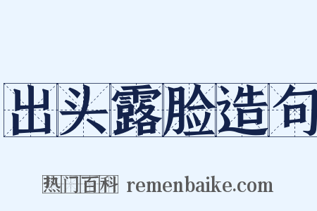 出头露脸造句是什么意思的图片